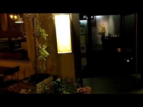 Vegan Food @ Kopps Restaurant | Berlin, Germany