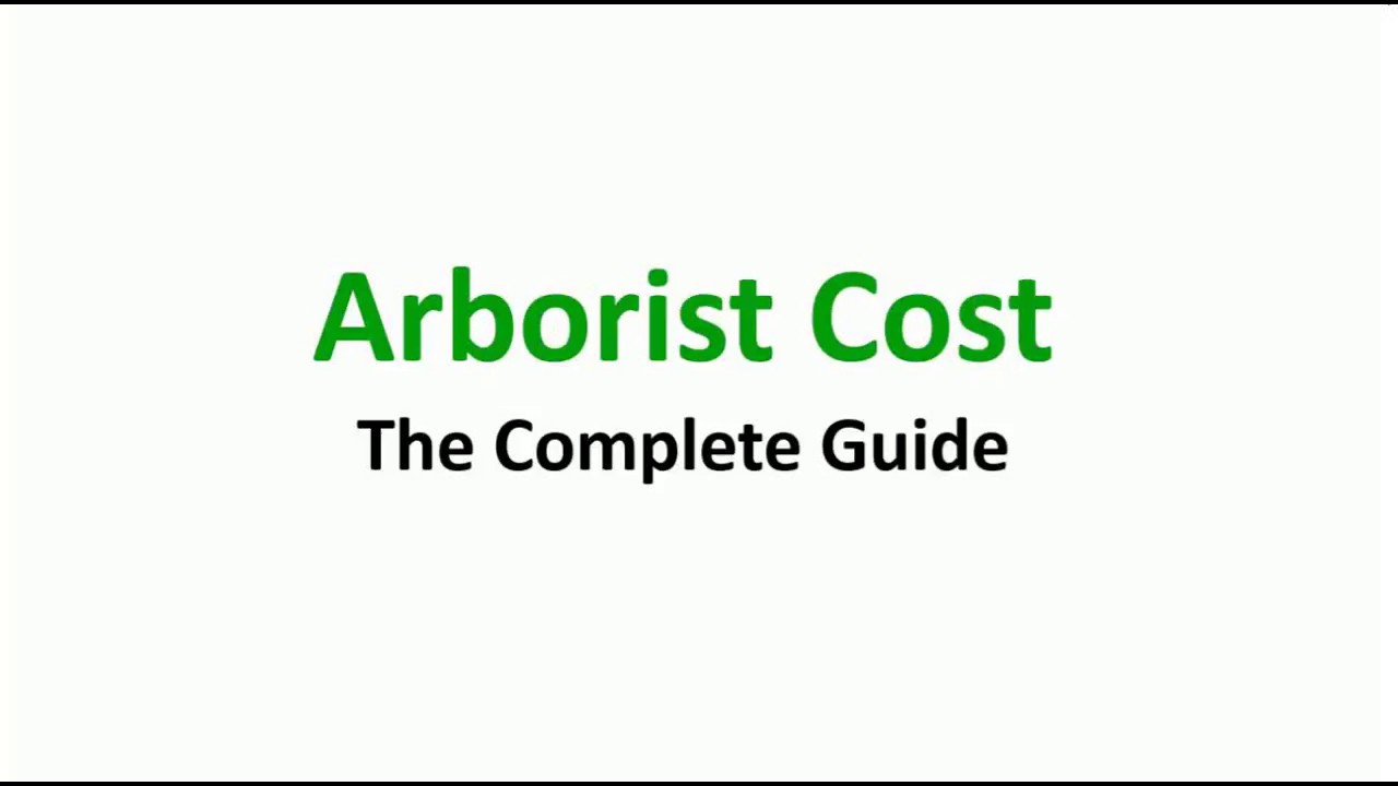 How much do Arborists Costs? - A Complete Guide