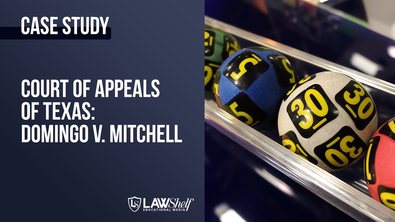 Case Study: Domingo v. Mitchell [Basics of Contract Law]