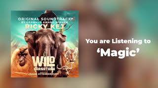10 Wild Karnataka - Magic - Original Soundtrack by Ricky Kej