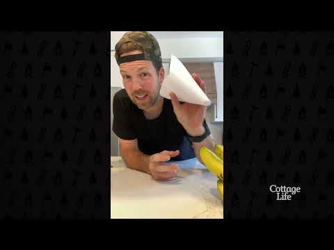 DIY Fruit Fly Trap: Cone Method!  | Cottage Coach