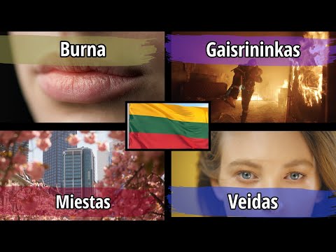 400 Lithuanian Words for Everyday Life - Basic Lithuanian Vocabulary for Beginners