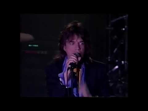 Mick Jagger - Live Webster Hall 1993