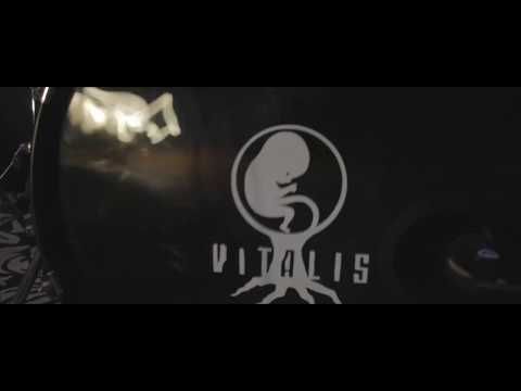 Vitalis - Wonder | CBO Live Sessions