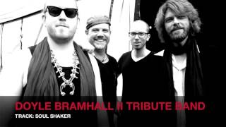 Doyle Bramhall II Tribute Band - Soul Shaker