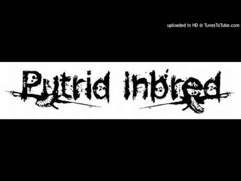 Putrid Inbred -  You, Me and Taxidermy