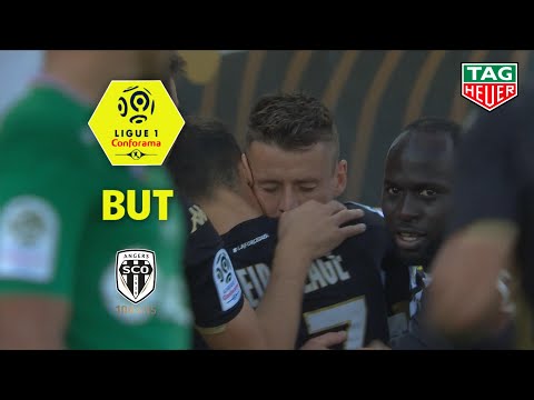 But Pierrick CAPELLE (48') / Angers SCO - AS Saint-Etienne (4-1)  (SCO-ASSE)/ 2019-20