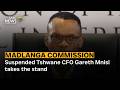 Madlanga Commission Suspended Tshwane CFO Gareth Mnisi Takes The Stand