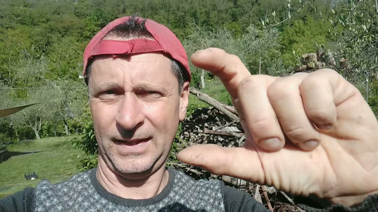 La faina è tornata , cerchiamo un rimedio