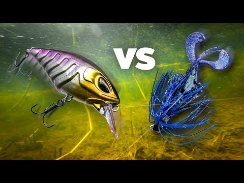 Giant perch from shore: Finesse or power-fishing? (English subtitles)