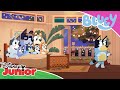 Julemanden Er Her Bluey Disney Junior Danmark