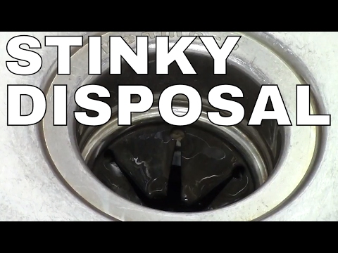 download lagu mp3 mp4 My Garbage Disposal Stinks, download lagu My Garbage Disposal Stinks gratis, unduh video klip My Garbage Disposal Stinks