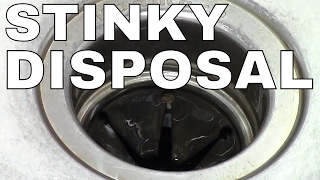 GARBAGE DISPOSAL- HOW TO CLEAN -- FAST Simple TRICK (ICE)