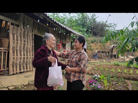 The poor girl was surprised and happy when the kind old woman came to visit her , lee & tiêu