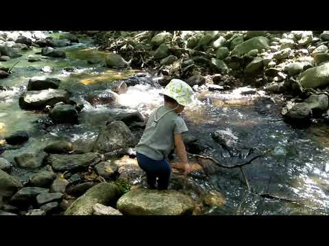 Important Akito business!