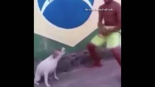 Cover art for Dance till your end