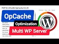 OpCache Optimization For Multiple WordPress Websites On The Same Server