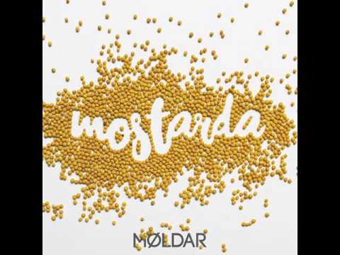 Møldar - 02 - Suicídio a Céu Aberto