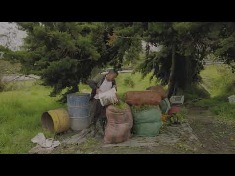 Plaza 12 de octubre - Pura Plaza con Carolina Cuervo