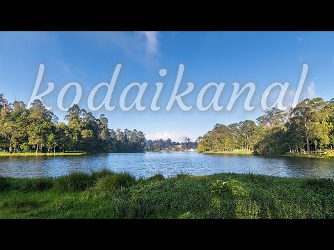 KODAIKANAL TOURIST PLACES | Kodaikanal Lake Kodaikanal Trip | Tamil Nadu Trip | Jimish & Raj Vlog 5