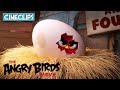 The Angry Birds Movie Red S Angry Story CineClips