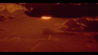 Maggie Railly - Follow The Midnight Sun