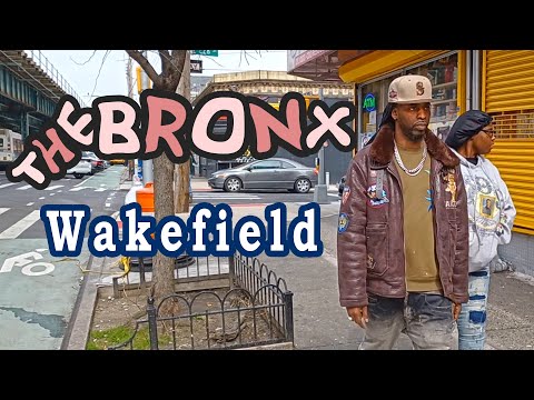The Bronx, walking on White Plains Road in Olinville and Wakefield