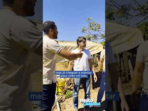 PAULO CÂMARA | DIA DO AGRICULTOR