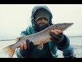 Рыбалка в Беларуси. Ловля щуки поздней осенью или Щукари 2. Джиг. Троллинг. 