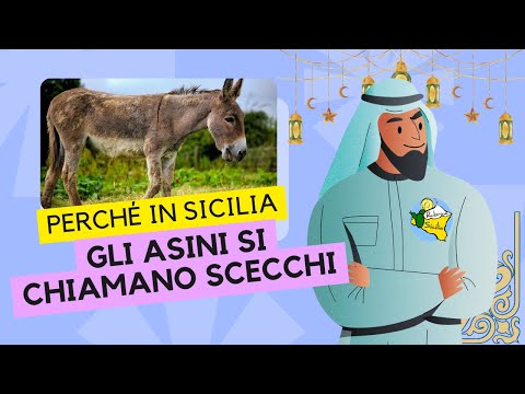 Re Miramolino  e gli " Scecchi"