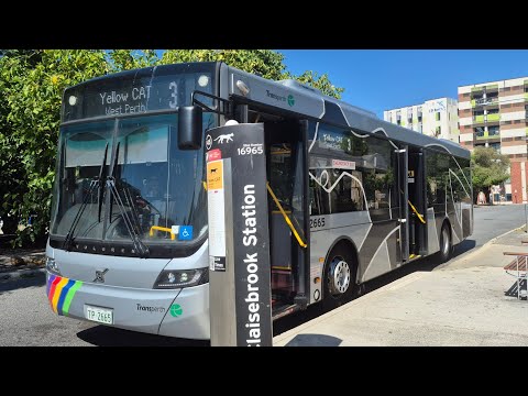 Transperth TP2665 Volvo [Midi]  B8RLE ZF ecolife 