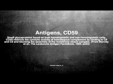 Medical vocabulary: What does Antigens, CD59 mean