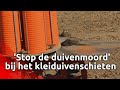 Bizar protest: Stop de duivenmoord bij het kleiduivenschieten