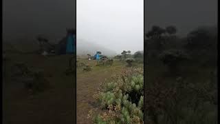 Download lagu CANTIKNYA BUNGA EDELWEIS || SURYA KENCANA mp3 Download lagu CANTIKNYA BUNGA EDELWEIS || SURYA KENCANA mp3