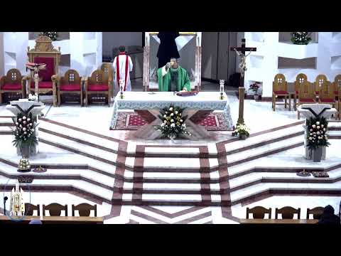 LIVE - Biserica Romano-Catolică  Sfinţii Petru si Paul  Bacau