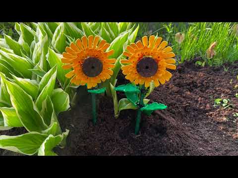 Kuzu Mellow - Sunflower Feelings (Wonryth Cover)