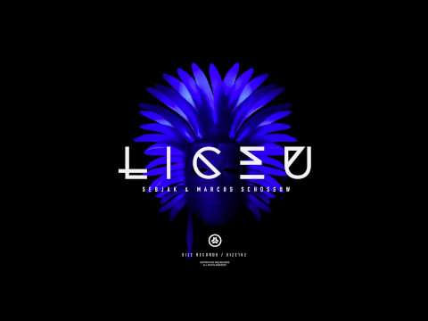 Marcus Schossow & Sebjak - Liceu (Original Mix)