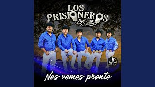 Cariño Necio Music Video