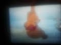 The Many Adventures Of Winnie The Pooh The Story Behind The Masrerpiece