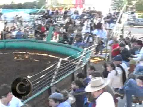 EXPO SATAN ROSA 2013 - LA PAMPA 3/3