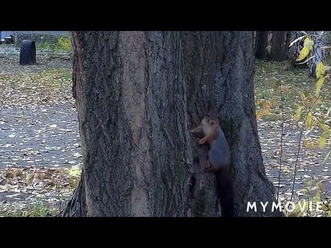 🔴Гуляем, болтаем😊