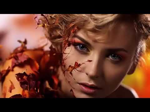 Wenn der Wind sein Lied erzahlt   - Frans Bauer