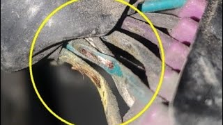 No communication with PCM. Lab scope data communication wires. 2005 Buick Rendezvous