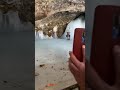 Amarnath Dharshan