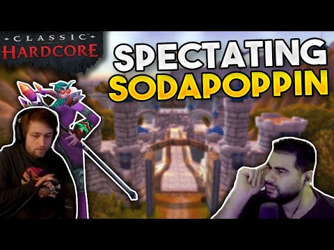 Sodapoppin's Druid VS Paladin Mak'Gora *Reaction & Analysis*