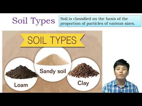 Class VII Science Chapter 9: Soil