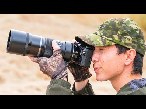 Olympus 300mm f/4 Review for Wildlife/Bird Photography