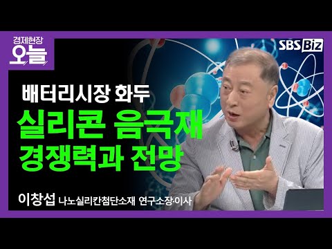 SBS Biz 밸류업플러스 '실리콘' 높이는 배터리.. 나노실리칸첨단소재가 뭐길래