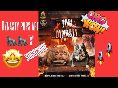 Contemplating my next move,￼opportunities on the horizon!