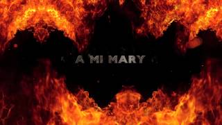 A MI MARY - ZULU LION - Lyric Video